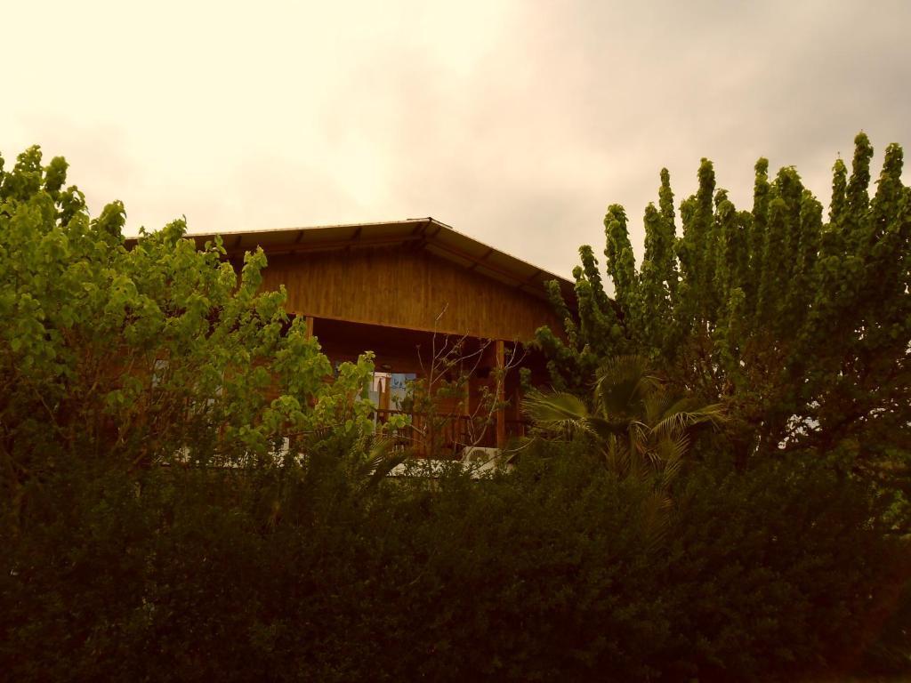 Cesur Pansiyon Hotel Çıralı Exterior foto